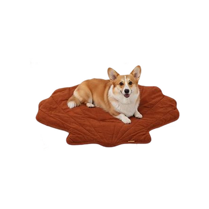 Warm, Safe, Chew-Proof Pet Pad – Indoor & Outdoor Ready